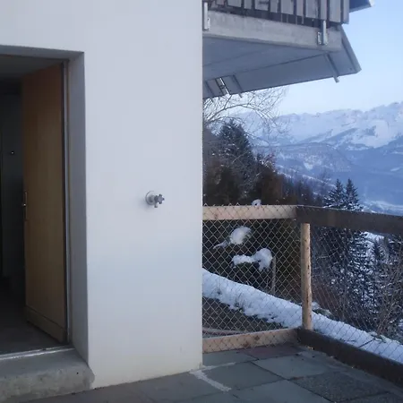 Ferienwohnung Suter Seewen  Esterno foto